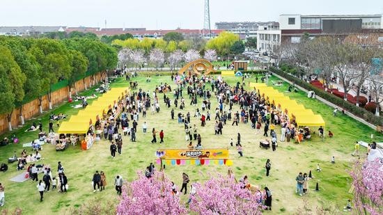 浙江平湖鐘溪櫻花文旅季啟幕 30余項(xiàng)活動(dòng)共赴春日之約
