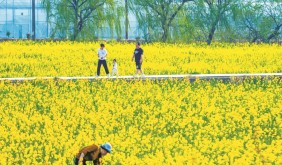 春日鄉(xiāng)“約” 尋找寧波鄉(xiāng)村“流量”變“留量”的密碼