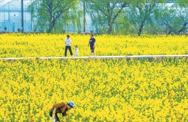 春日乡“约” 寻找宁波乡村“流量”变“留量”的密码