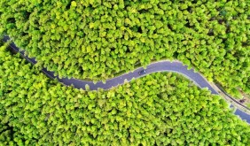 滬皖攜手干大事，地點(diǎn)選在這座皖東南小城