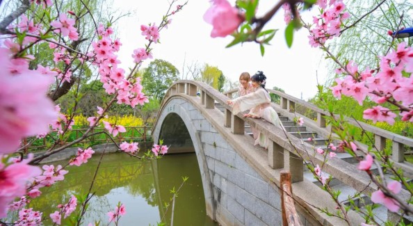 以花為媒激活文商旅體展 上海把賞花經(jīng)濟(jì)做成“城市名片”
