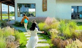 春行錦溪|春假研學(xué)沖鴨!人文+自然雙解鎖