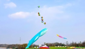 “北岸筝好”2026南京北岸风筝嘉年华启幕