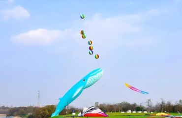 “北岸筝好”2026南京北岸风筝嘉年华启幕