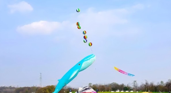 “北岸筝好”2026南京北岸风筝嘉年华启幕
