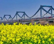 多地联动引客来 长三角清明春假“一体化”消费热潮空前