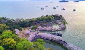 春假叠加清明引爆“春日黄金周” 长三角文旅交出硬核成绩单