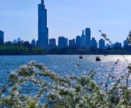 郑丽文率团抵达南京：南京是个怎样的城市？