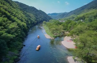 宁国春行记：青龙湾泛舟、樱花漫山与茶山指尖的新绿
