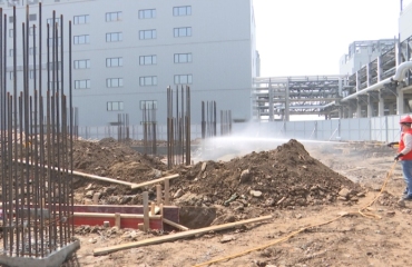 白蚁防治全免费 惠企便民解烦忧