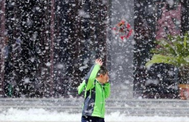 杨柳絮漫天飞舞：为何治不好又砍不得？