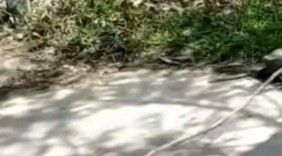 “河南沁陽男孩割喉事件”的反思與警示