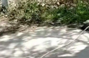 “河南沁阳男孩割喉事件”的反思与警示