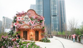 从“园中花展”到“全城花海”：上海国际花卉节更名背后的转型之力