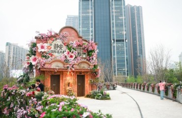 从“园中花展”到“全城花海”：上海国际花卉节更名背后的转型之力