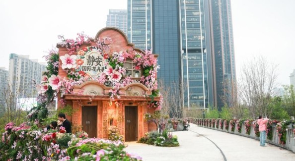 从“园中花展”到“全城花海”：上海国际花卉节更名背后的转型之力