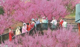 山海港城花开成海 连云港“赏花+”激活全域文旅新动能