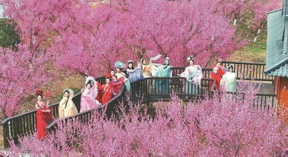 山海港城花开成海 连云港“赏花+”激活全域文旅新动能