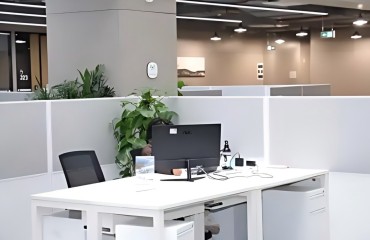 AI时代“单人成军” 杭州全链路支持OPC创新创业