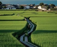 你的五一攻略，可能是假的——長三角“種草”需警惕哪些陷阱