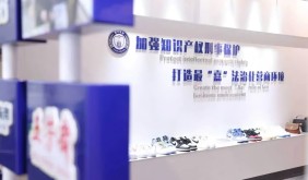 嘉興推動文化“新三樣”高質(zhì)量出海：從政策護(hù)航到IP破圈