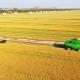 3470亿元！安徽粮食产业产值稳居全国前列