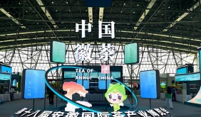 第十八屆安徽國際茶博會合肥啟幕，600余家企業(yè)參展