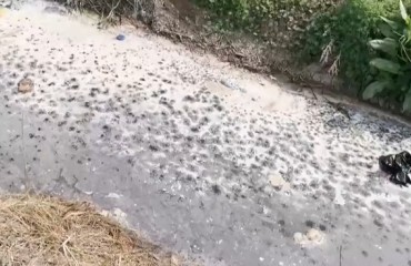 一条沟的“反向闭环”：徐州黑臭水体事件背后的监管空转
