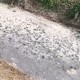 一条沟的“反向闭环”：徐州黑臭水体事件背后的监管空转