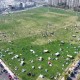 今年我市將再開放共享綠地11處