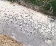 劣Ⅴ類突圍：68噸污水抽干后，賈汪的溝還能干凈幾天？
