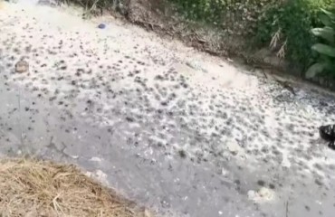 劣Ⅴ類突圍：68噸污水抽干后，賈汪的溝還能干凈幾天？