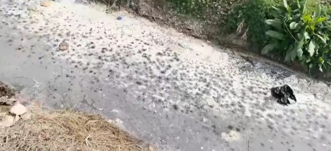 劣Ⅴ類突圍：68噸污水抽干后，賈汪的溝還能干凈幾天？
