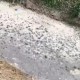 劣Ⅴ类突围：68吨污水抽干后，贾汪的沟还能干净几天？