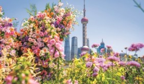上海国际花卉节圆满落幕，三大转型重塑城市“花经济”