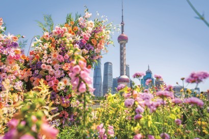 上海国际花卉节圆满落幕，三大转型重塑城市“花经济”