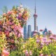 上海国际花卉节圆满落幕，三大转型重塑城市“花经济”
