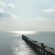 4月经济数据拆解:出口暴涨14.1%、PPI飙至2.8%,谁在为中国经济的“反常识”上涨买单?