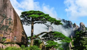“黄山小住”首个精品长线旅居团收官