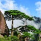“黄山小住”首个精品长线旅居团收官