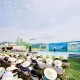 “浙江村拍”在杭州之江村启动，以镜头为媒赋能乡村