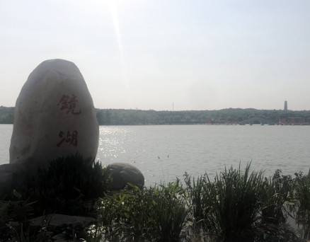 上海有“下一站”，苏北的“上一盘棋”等谁开局？