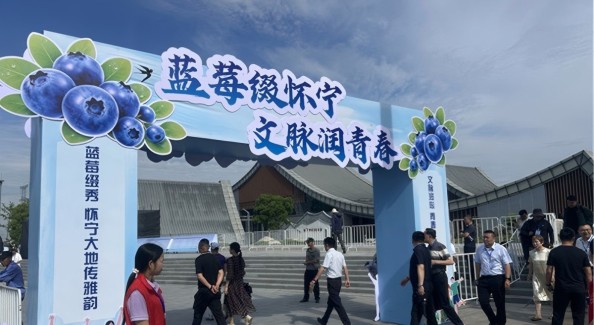 第九届怀宁蓝莓文化旅游大会举行，“怀宁新十景”发布