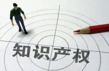 丽水发布知识产权保护与发展状况白皮书