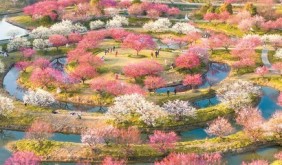 從“三張舊標(biāo)簽”到“長(zhǎng)三角文旅樞紐”：金山如何以文旅重構(gòu)發(fā)展坐標(biāo)