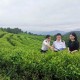今年前4月浙江茶叶出口14.2亿元，占全国总量近四成