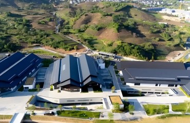 第八届中国国际茶叶博览会将在杭州启幕