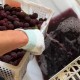 浙江多地紧急抽查杨梅:一场与时间赛跑的食品安全行动