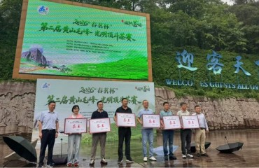 徽州区在第二届黄山毛峰光明顶斗茶大赛中斩获多项殊荣