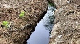 从沈丘到黄土坡：中国“癌症村”为何难以终结？